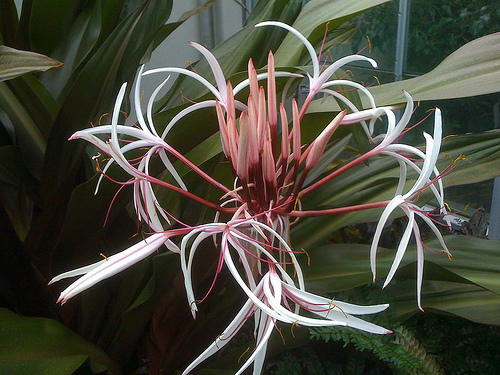 Media_httpfarm3staticflickrcom245939922184929acd7ee724jpg_gyzgfdwahsqvzhe